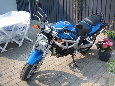 Suzuki SV 650 N billede 5