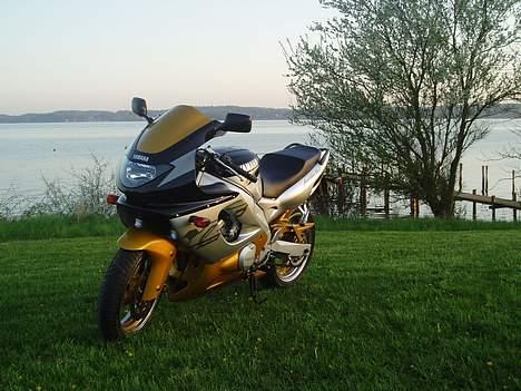 Yamaha YZF 600 R ( SOLGT ) billede 15