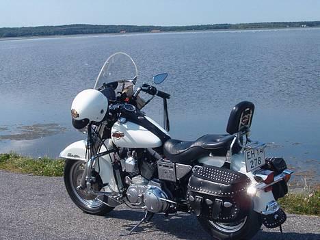 Harley Davidson 1200 Sportster billede 1