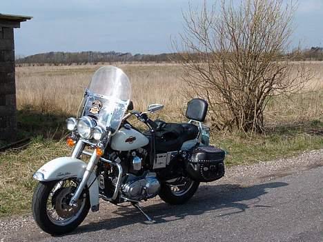 Harley Davidson 1200 Sportster billede 3