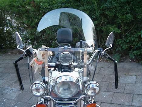 Harley Davidson 1200 Sportster billede 4