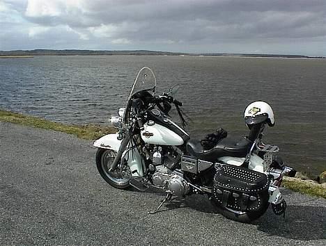 Harley Davidson 1200 Sportster billede 5