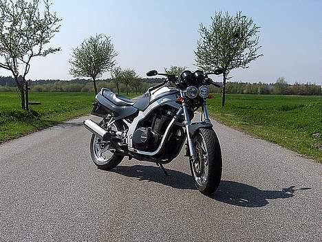 Suzuki GS500E (Sæby) [Solgt] billede 2