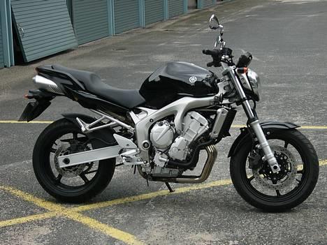 Yamaha FZ-6N billede 1