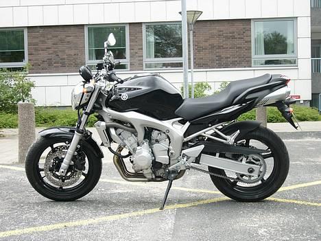 Yamaha FZ-6N billede 2