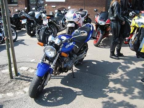Honda CB 600 F Hornet (solgt) - Fars riskoger til MC træf i Aalborg, maj 2006 billede 4