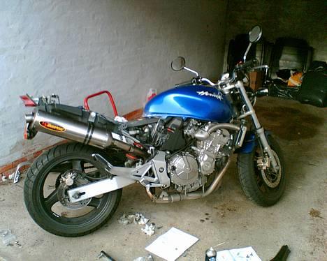 Honda CB 600 F Hornet (solgt) - "Gedehamsen" har fået påmonteret sin splinternye Akrapovic slip-on titaniumspotte. Måsen skulle lige afmonteres for at få adgang til bolten, der holder udstødningen. (Taget med mobiltlf) billede 6