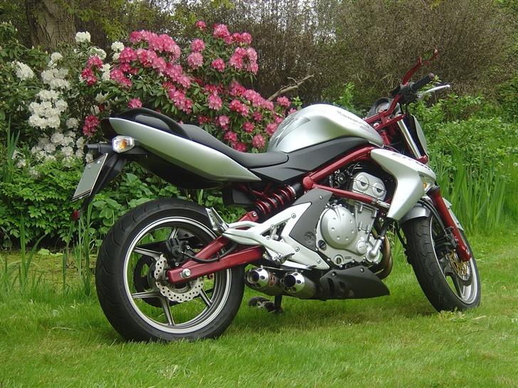 Kawasaki ER6N ( Solgt ) billede 3