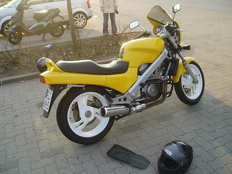 Honda NTV billede 1