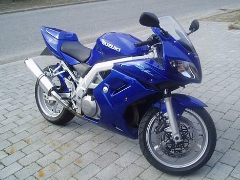 Suzuki SV1000S billede 1