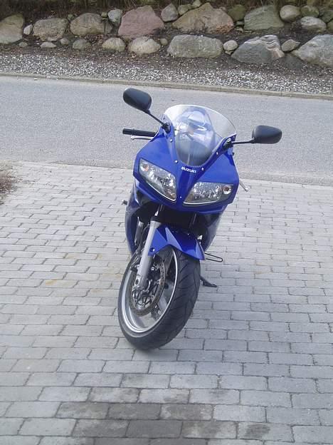 Suzuki SV1000S billede 3