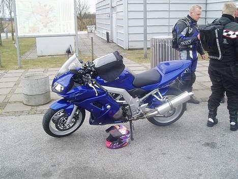 Suzuki SV1000S billede 4