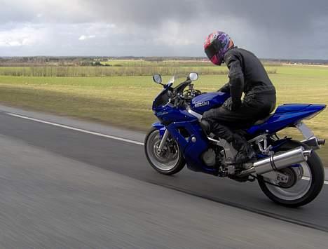 Suzuki SV1000S billede 7