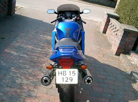 Honda CBR 1100 XX -- SOLGT billede 4