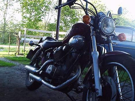 Yamaha Xv 250 s billede 9