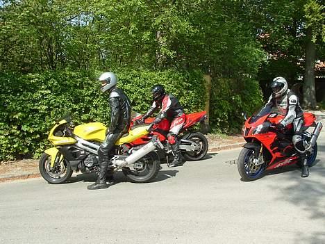 Aprilia RSV 1000 Factory billede 6