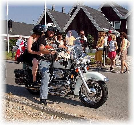 Harley Davidson 1200 Sportster billede 7