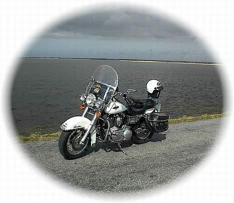 Harley Davidson 1200 Sportster billede 8