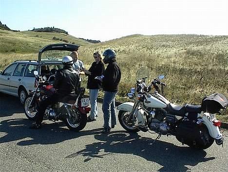 Harley Davidson 1200 Sportster billede 10