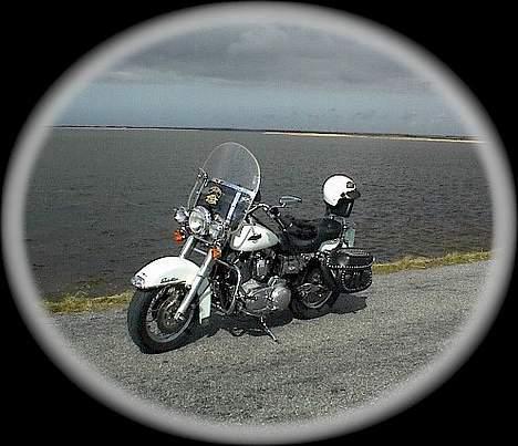 Harley Davidson 1200 Sportster billede 11