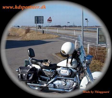 Harley Davidson 1200 Sportster billede 12