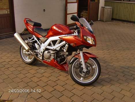 Suzuki SV 650 S Solgt - Forår 2006 billede 1