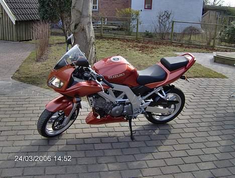 Suzuki SV 650 S Solgt - Forår 2006 billede 3