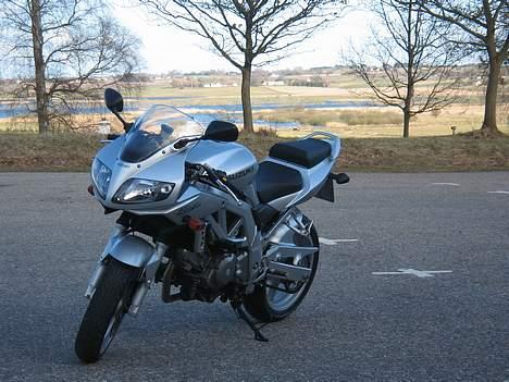 Suzuki SV 650 S / Solgt billede 5