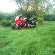 Honda CBR 600 F3 (Solgt)