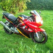 Honda CBR 600 F3 (Solgt)