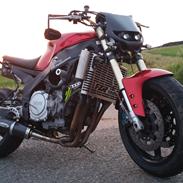 Yamaha fzr 1000 3le Streetfighter