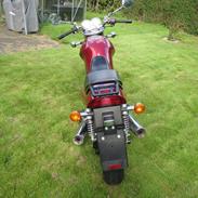 Suzuki VX 800