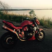 Suzuki Gsf Bandit n600