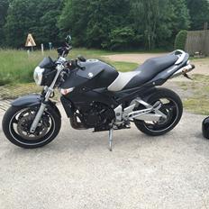 Suzuki gsr 600