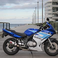 Suzuki GS500F