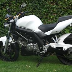 Suzuki sv 650 n
