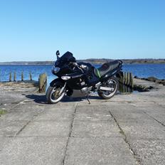 Suzuki GSX 600F