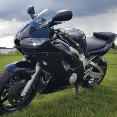 Yamaha YZF R6 *SOLGT*
