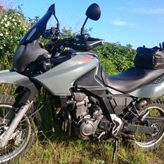 Aprilia Pegaso trail 650 