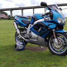 Honda cbr 900 rr