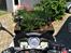Honda CBF 1000 FA( Tidligere mc)
