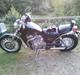 Suzuki vs 750 intruder model GLF H / VR51BD (Solgt)