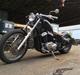 Honda Shadow