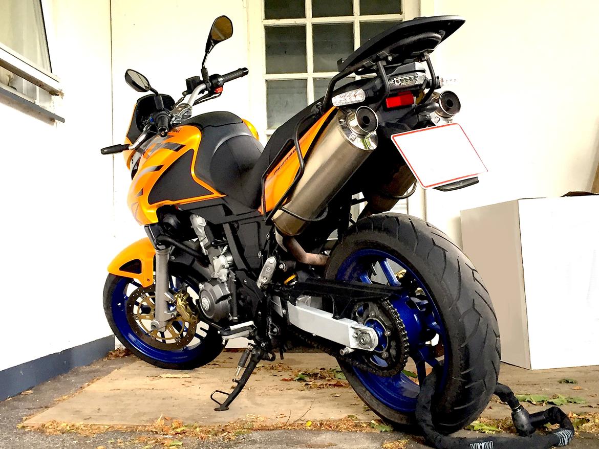 Aprilia Pegaso 650 Strada billede 1