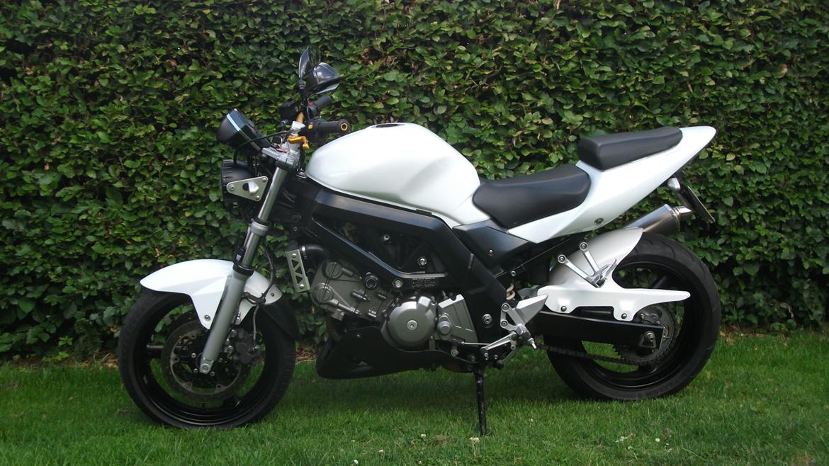 Suzuki sv 650 n billede 1