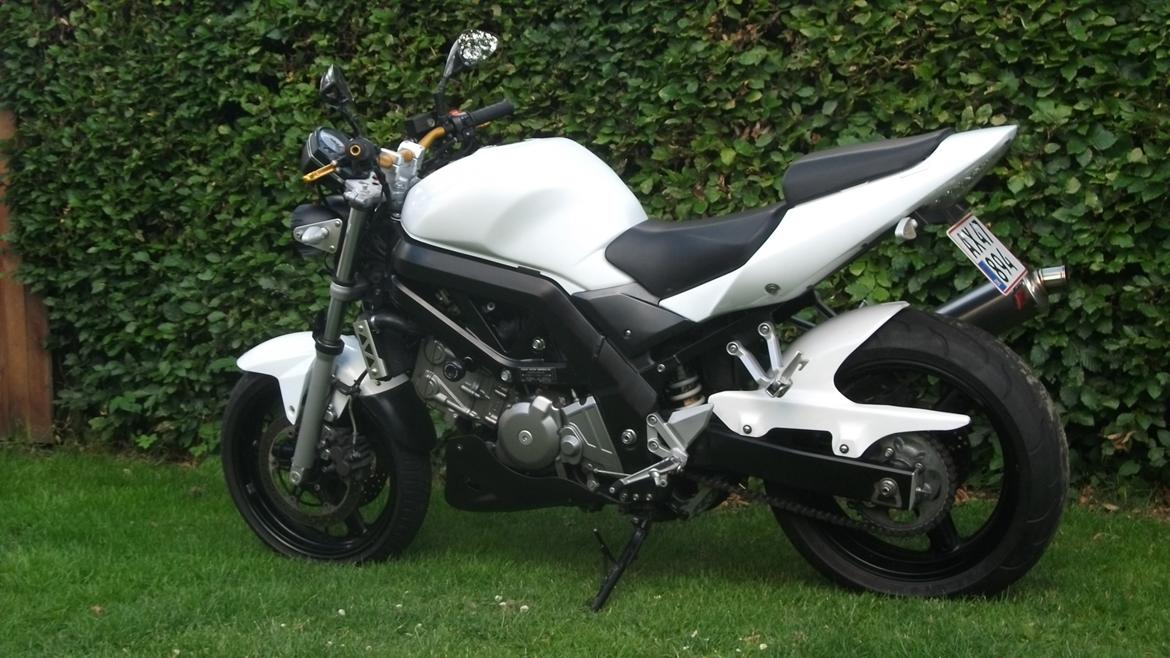 Suzuki sv 650 n billede 3
