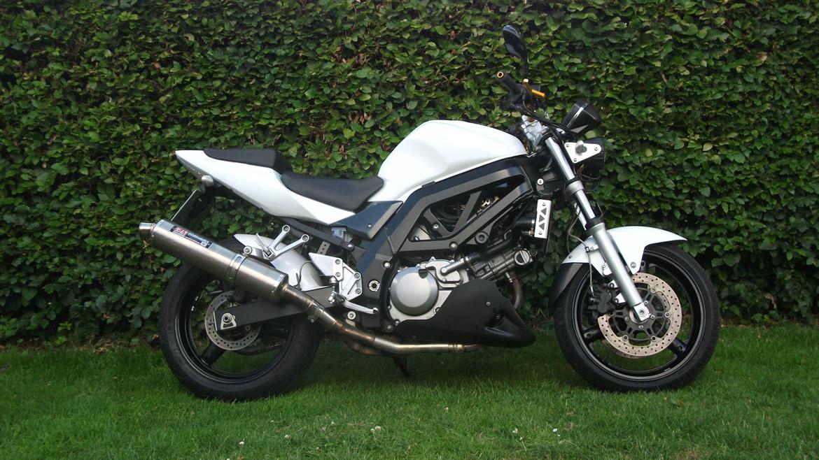 Suzuki sv 650 n billede 4