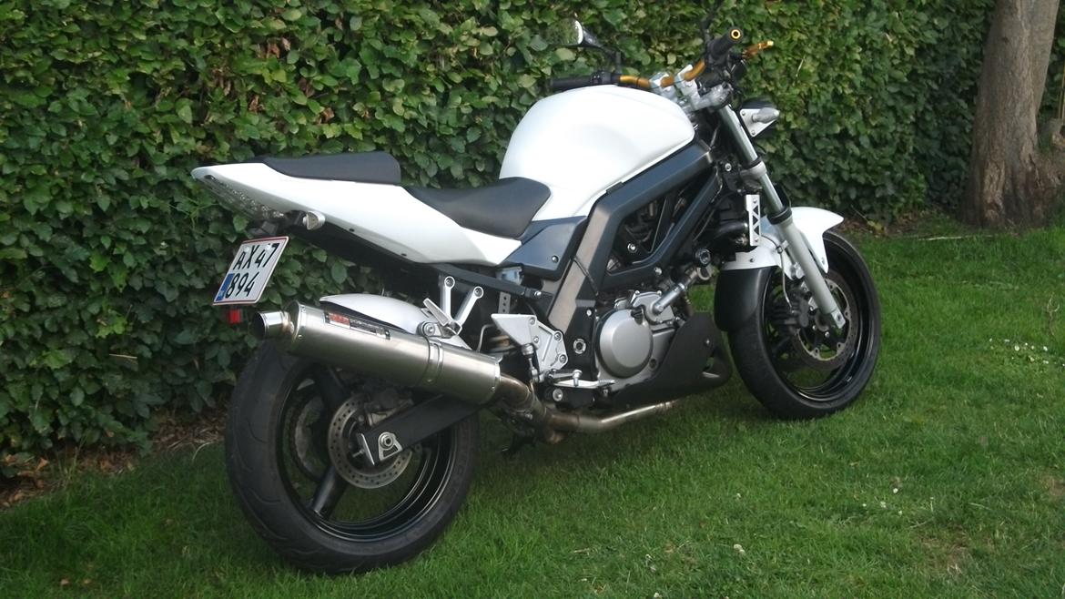 Suzuki sv 650 n billede 6
