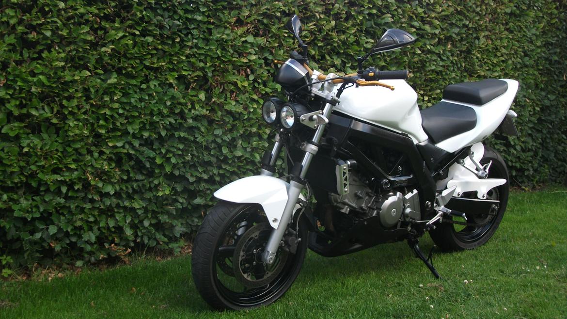 Suzuki sv 650 n billede 2
