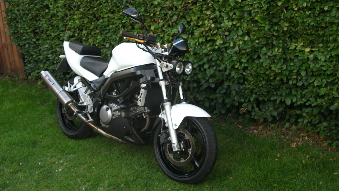 Suzuki sv 650 n billede 7